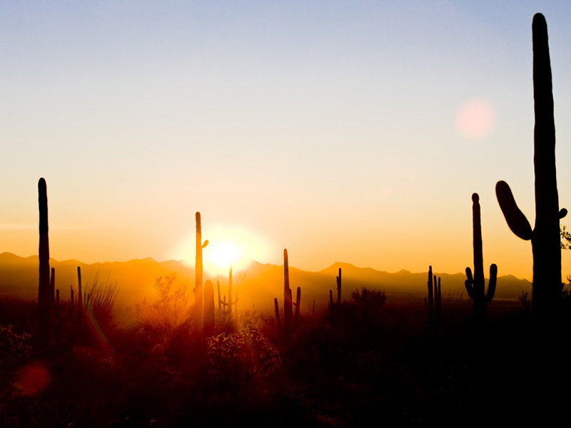 Featured image for “The 5 Hidden Gems of Tempe”