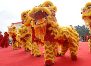 picture of a Lion costume